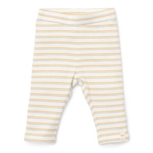 CL24293012 CL24293013 CL24293014 CL24293015 CL24293016 CL24293017 Product PantsMultistripe 1