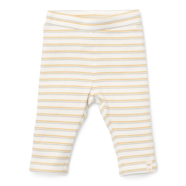 CL24293012 CL24293013 CL24293014 CL24293015 CL24293016 CL24293017 Product PantsMultistripe 1