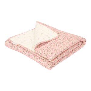 TE11114031 Bassinet Blanket Fairy Garden Fairy Floral Blossom 1